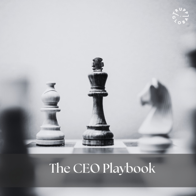 The-CEO-Playbook